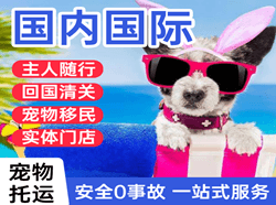 首都空运公司国际宠物托运 【国